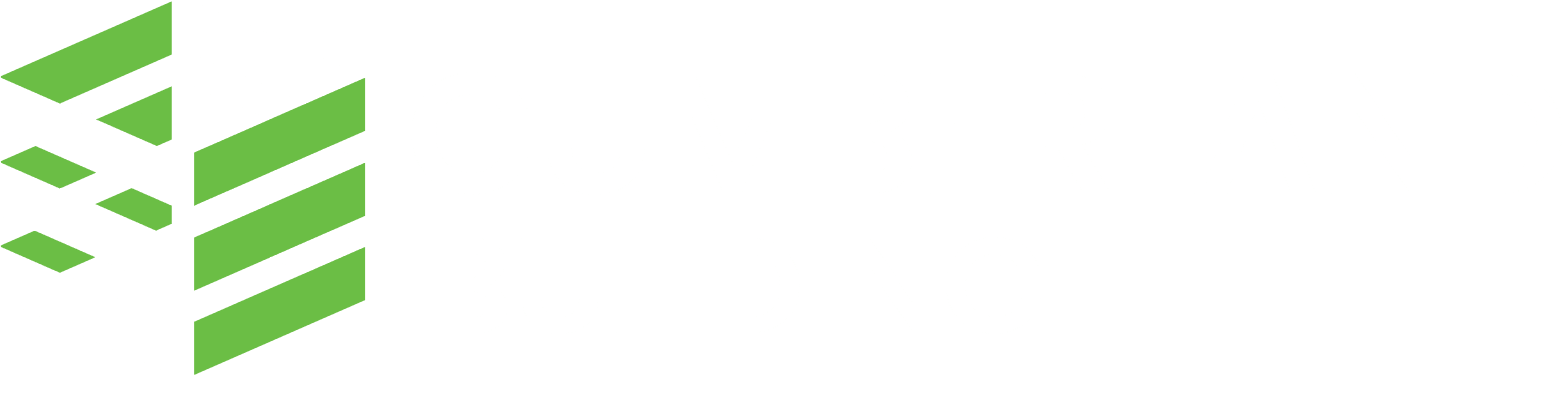 Footer Logo